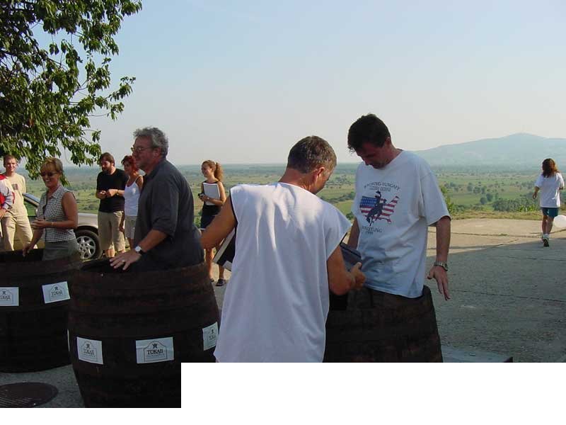 Kiki (Patkó Béla) és Horváth László (Fidesz) a lufikkal helyettesített szőlőfürtökből próbál minél több pontszámot kitaposni
