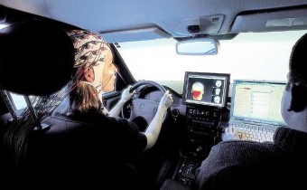 Agy nélkül is lehet vezetni?