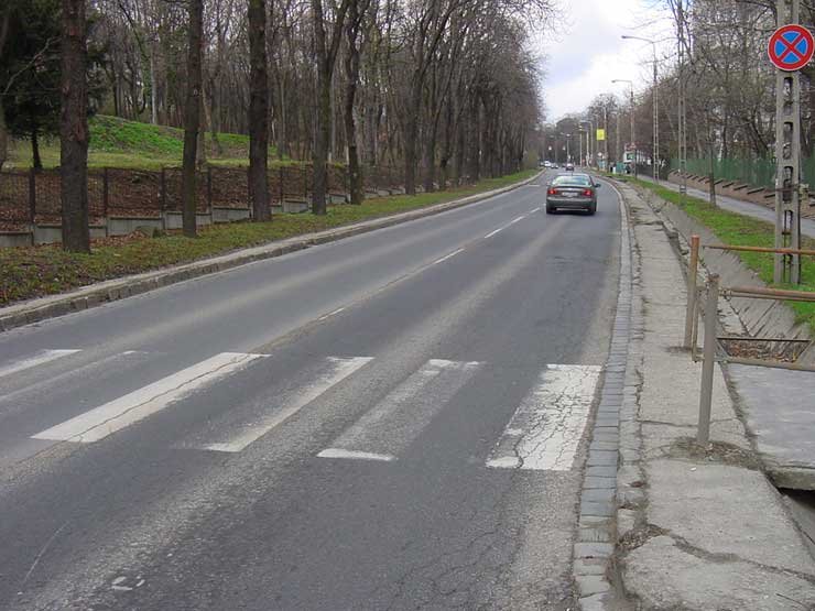 Nagy dugókra számíthatunk vízcsőépítés miatt a Budakeszi úton