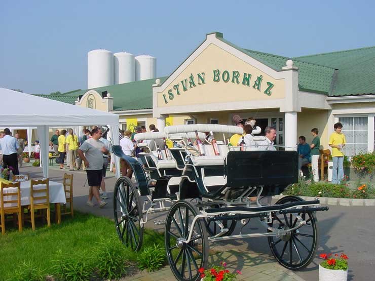 8106_74534_1000x700.jpg | Vezess | Vezess Az ország legszebb borvidékeit járta be a mezőny a három nap alatt