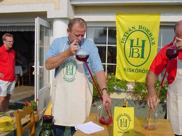 8106_74535_1000x700.jpg | Vezess | Vezess Nem csak autós, hanem a borhoz kapcsolódó ügyességi játékokon is bizonyítaniuk kellett a versenyzőknek