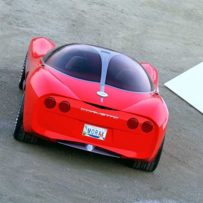 A Moray egy halról, a murénáról kapta a nevét