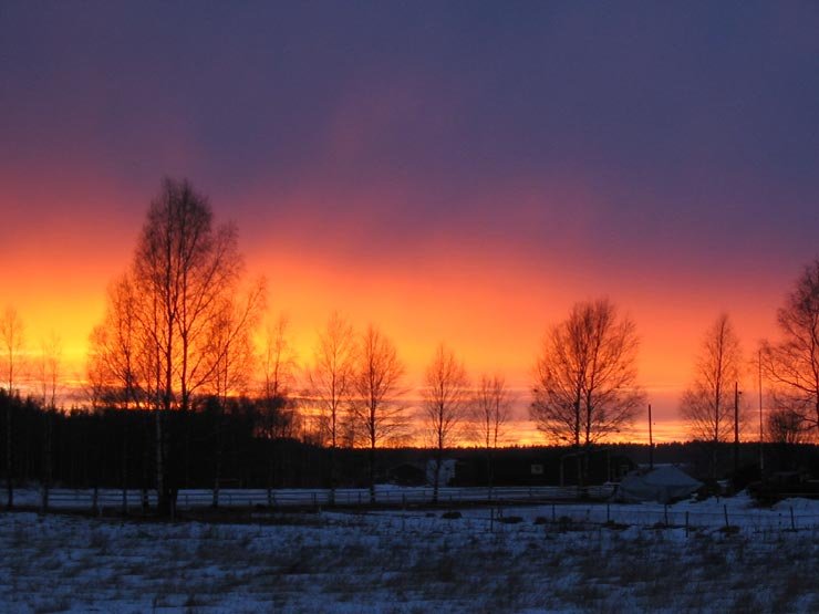 Az enyhe időjárás miatt, hó helyett murván versenyeznek a csapatok