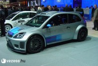 Sportos és még sportosabb Ford Fiesta 24