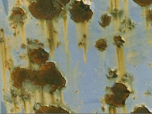 Sose hányjunk vízbázisú fényezésre!