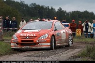 Egyszerűsített WRC-k? 41