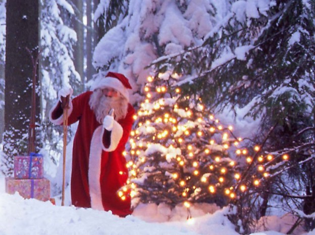 Karácsonyfa próbaútért