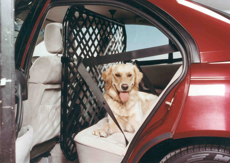 6216_60341_1000x700.jpg | Vezess | Vezess Kedvenceink súlyos sérüléseket szerezhetnek és okozhatnak egy baleset során. Már léteznek biztonsági övek kutyáknak is