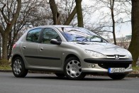 /Tesztautok/Peugeot/206_Hdi_16/P1030078.jpg