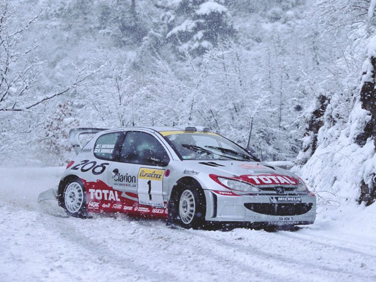 Az üzleti sikerek mellett a versenypályán is jól szerepelt a 206-os, három csapat és két egyéni világbajnoki címet szerzett raliban