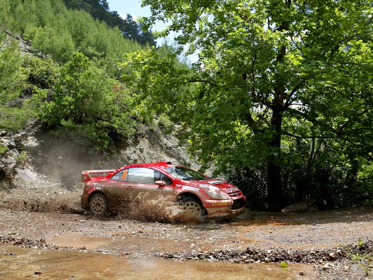 Markko Märtin ezúttal ötödik lett, így a Peugeot továbbra is vezet a világbajnoki pontversenyben