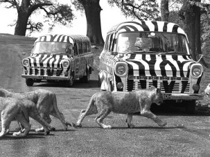 Körbezárhatnák a Transitok Angliát