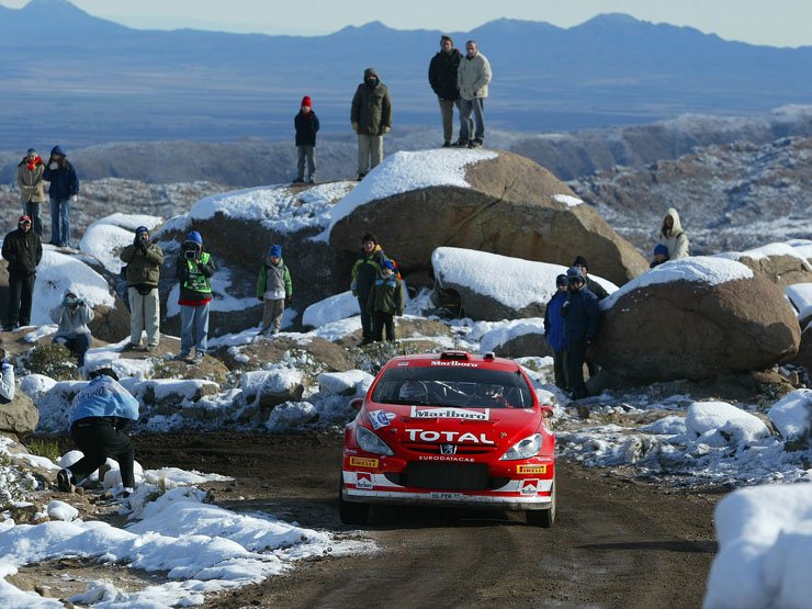 Markko Märtin, ahogy mindig, ezúttal is szállította a pontokat, ennek ellenére a Peugeot vezetése elégedetlen vele, jobb eredményeket várnak