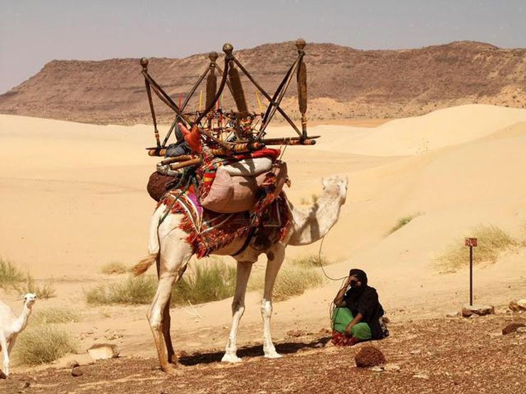 Bármilyen autóval lehet nevezni, feltéve, hogy rendelkezik biztosítással, érvényes forgalmival és saját névre van írva