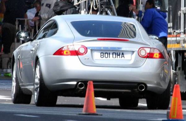 Itt az új nagymacska