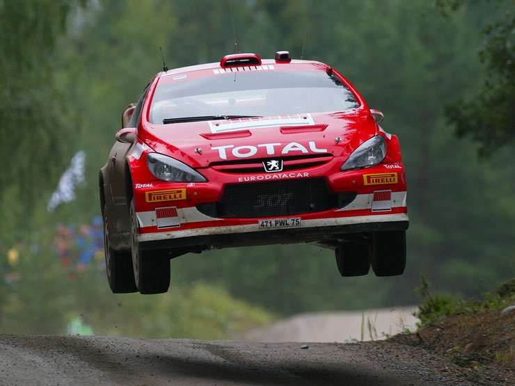 Markko Märtin idén minden versenyen pontot szerzett, ami hozzásegítette a Peugeot-t a konstruktőri pontverseny első helyéhez