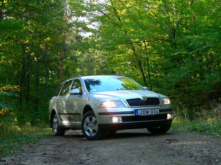 Octavia WRC jobbról 8