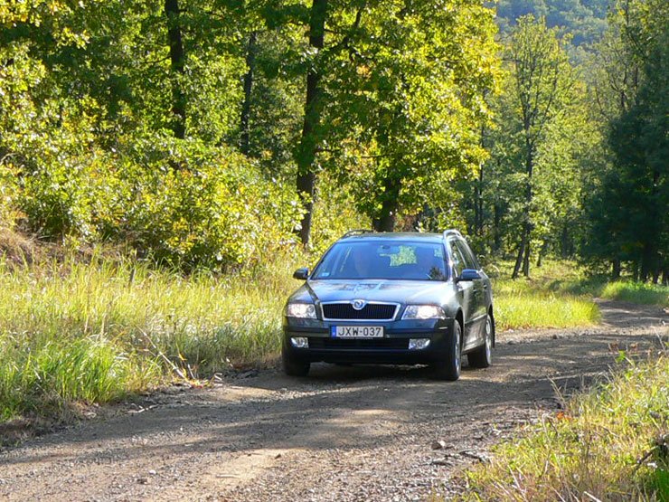 Octavia WRC jobbról 10