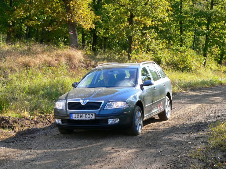 Octavia WRC jobbról 11