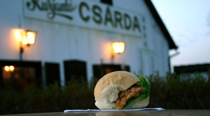 Mit egyen az éhes autós?