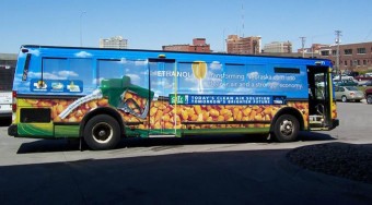 Alkoholt a buszokba!