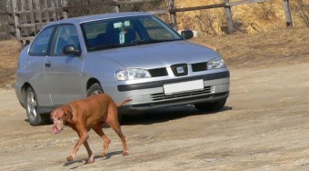 Használt autó: SEAT Cordoba