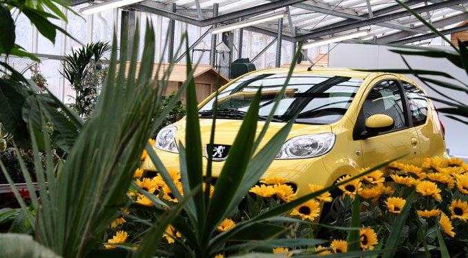 A Peugeot 107 a legolcsóbb