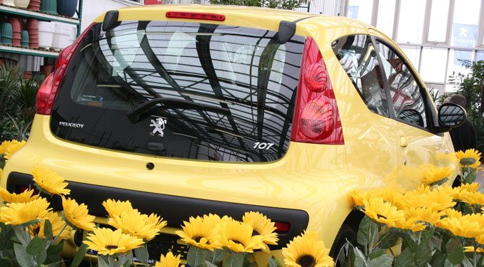 2 090 000 forint az 107-es  alapára