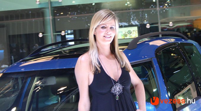 Tőle szerettünk tanácsokat kérni a Roomsterről