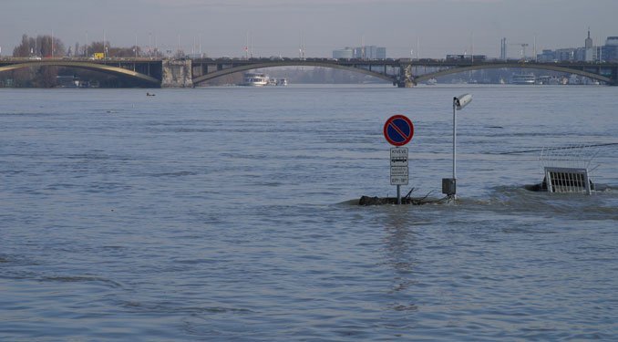A Margit sziget már nincs veszélyben