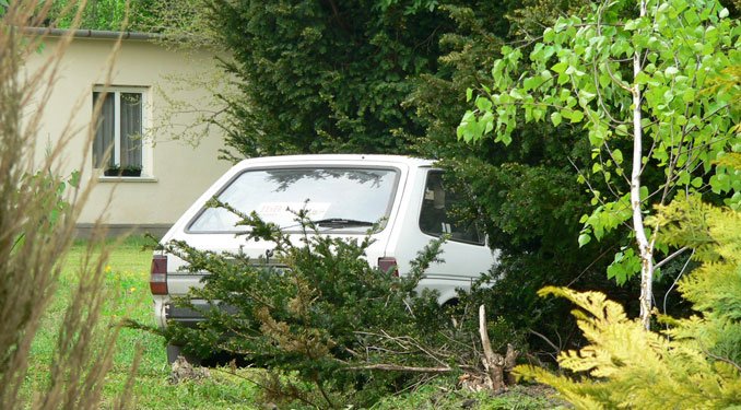 Nem azért van itt, mert árnyékban parkol