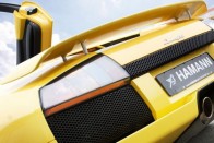 Hamann Murcielago  – Látványterv 23