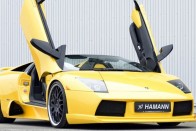 Hamann Murcielago  – Látványterv 32