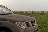 Teszt: Nissan Navara 51