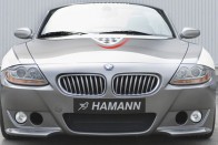 Hamann-dopping