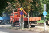 Kidőlt fák nehezítették a közlekedést