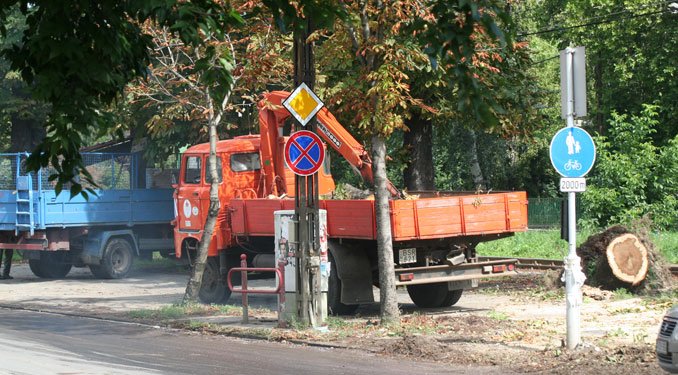 Kidőlt fák nehezítették a közlekedést