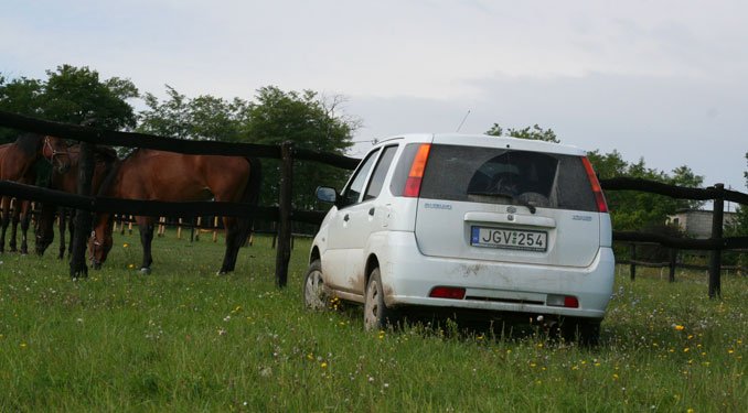 Használt autó: Suzuki Ignis 10