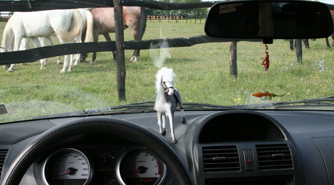 Használt autó: Suzuki Ignis 17