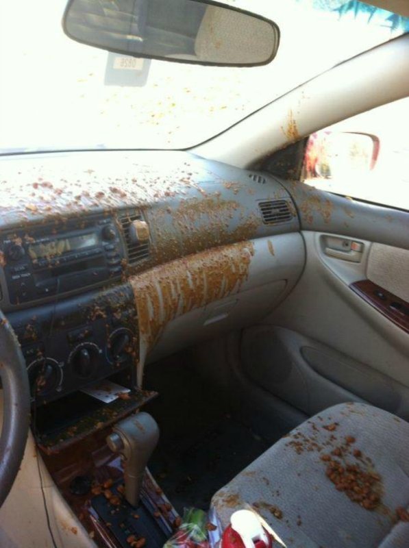 Az autó szent, ahol enni tilos, vagy potyoghat a morzsa? 7