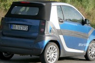 Pici marad a smart fortwo 18