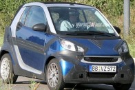 Pici marad a smart fortwo 19