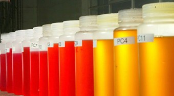 Nem jó üzlet a biodízel