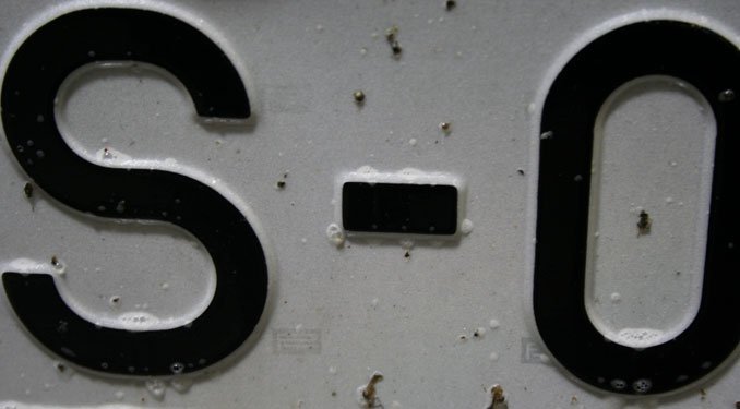 2613_24617_1000x700.jpg | Vezess | Vezess Nehéz levakarni a bogarakat