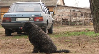Használható autó kétszázezerből