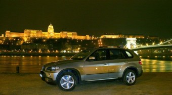 Az állatok királya