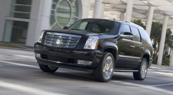 A tolvajok kedvencei