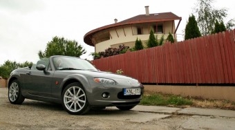 A hét főbűn okozója