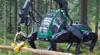 Lépegetők az erdőben