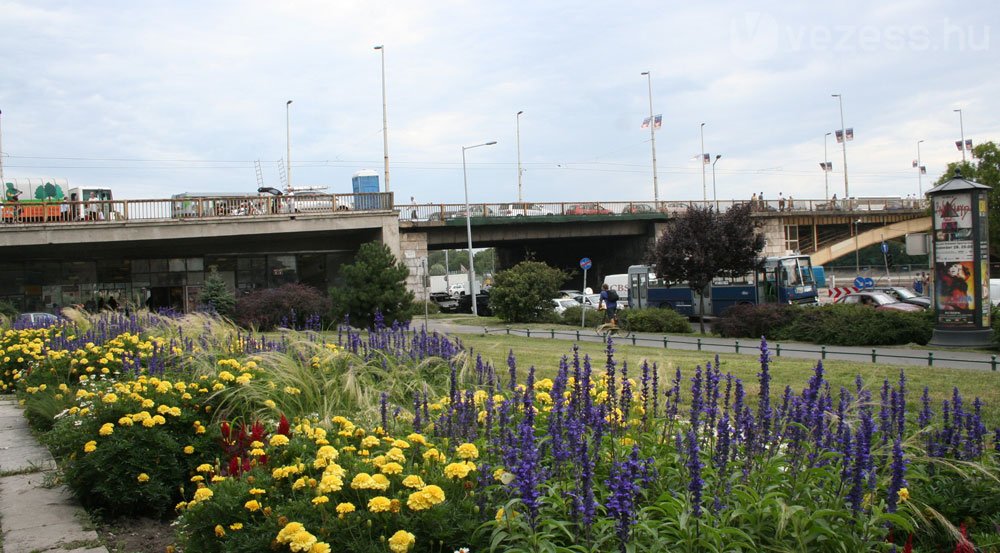 Közeleg a Margit híd lezárása 13